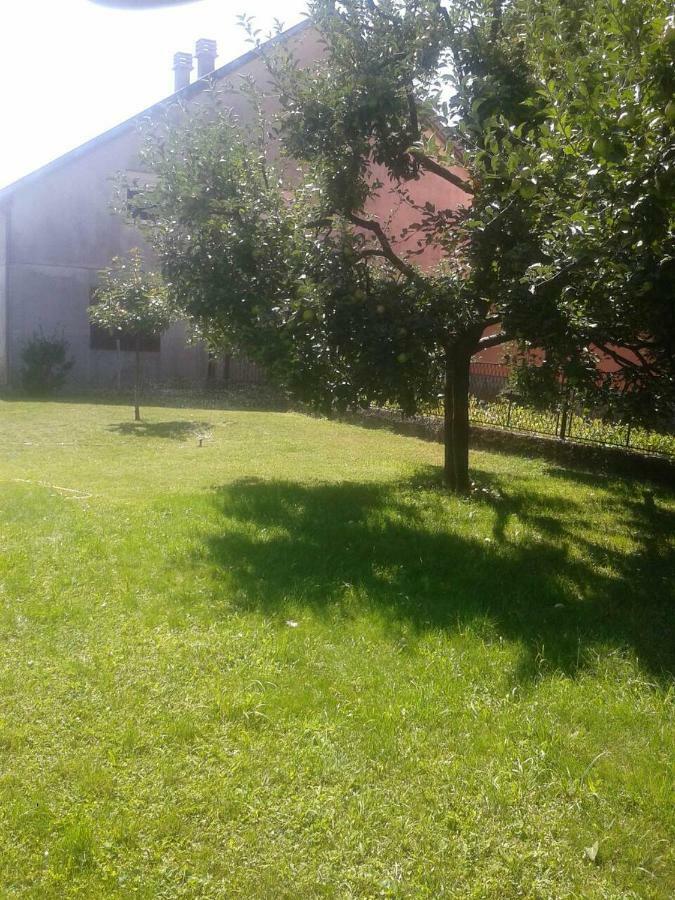 Apartman Donji Kraj Apartment Cetinje Exterior photo